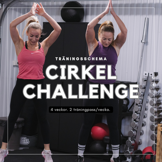 Träningsprogram - Cirkelchallenge